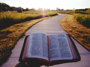 abiding in christ character development