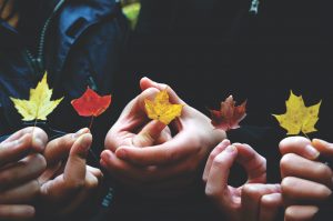 church life cycle
